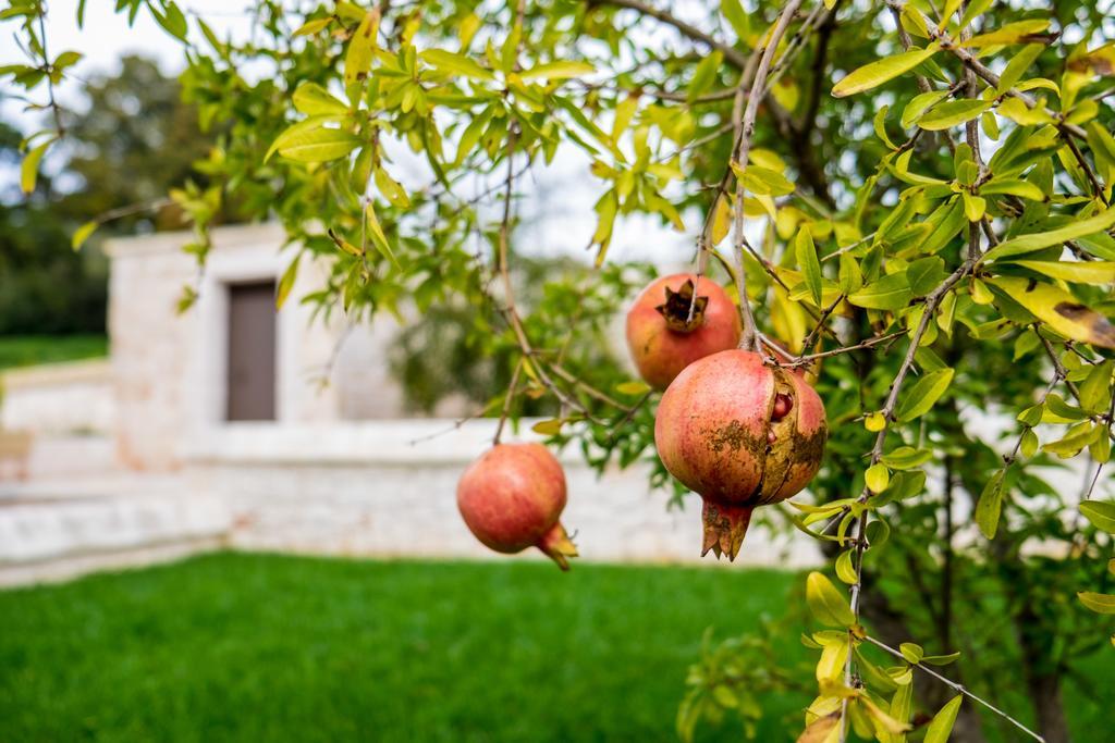 알베르벨로 Masseria Paretano 빌라 외부 사진